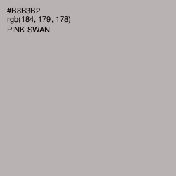#B8B3B2 - Pink Swan Color Image